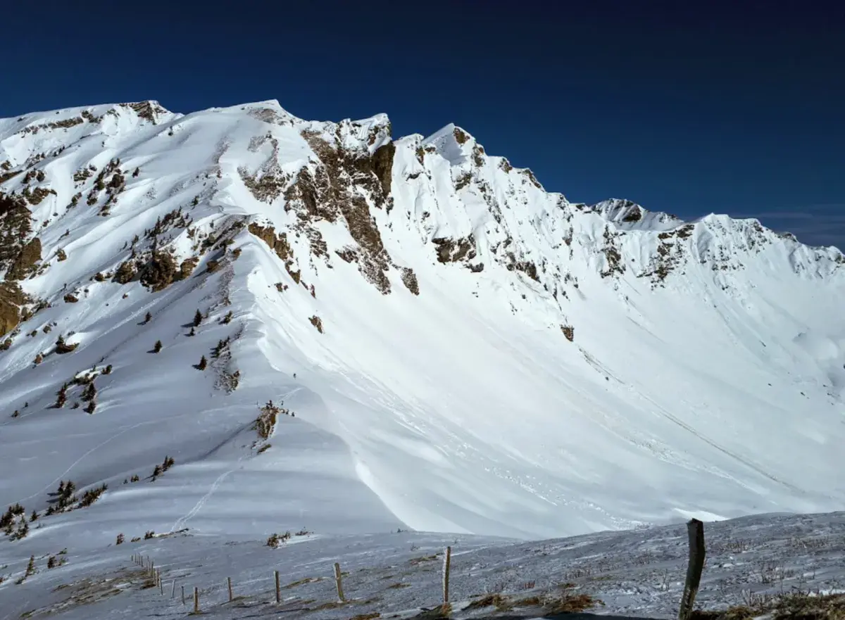 Spot de Col de cou