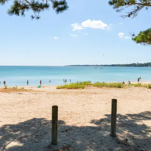 Camping Les Saules — photo 5