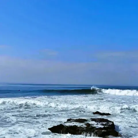 Le spot, rochers et ligne de vagues