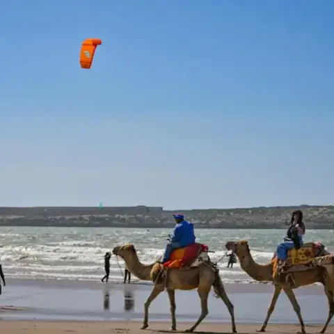 La grande plage d'Essaouira, aile au large et île de Mogador