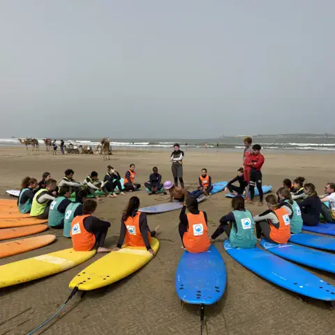 Planches de surf alignées sur le sable avant le cours