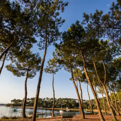 Le lac marin de Hossegor, activité paddle