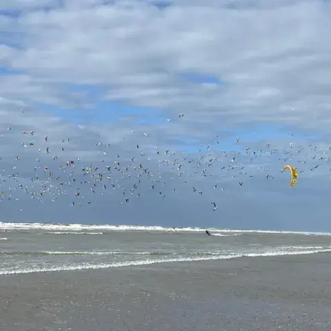 La plage d'Hardelot à marée basse