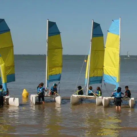 Catamarans à voiles jaunes dans l'eau peu profonde