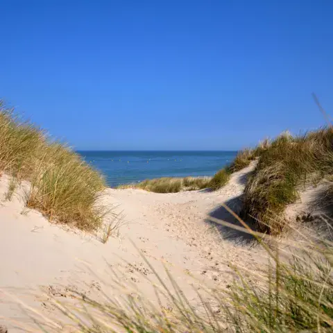 Dunes et mer du Nord sur le littoral dunkerquois