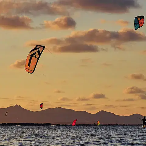 Kites au coucher du soleil sur la lagune