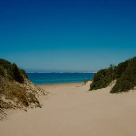 Sentier de sable entre les dunes menant à la plage