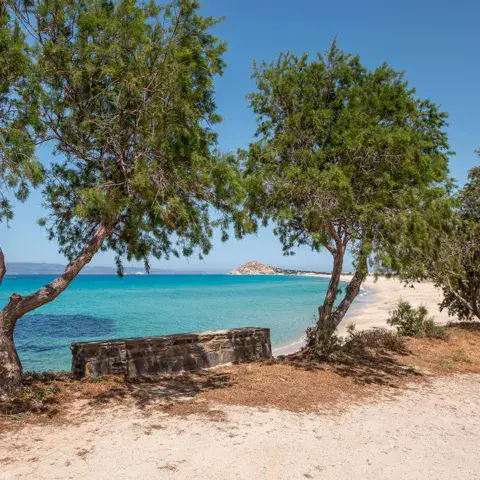 Plage de sable ombragée par des arbres, mer turquoise