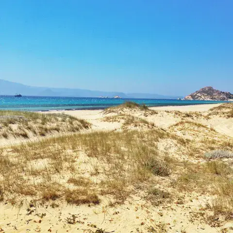 Dunes de sable et mer à l'horizon