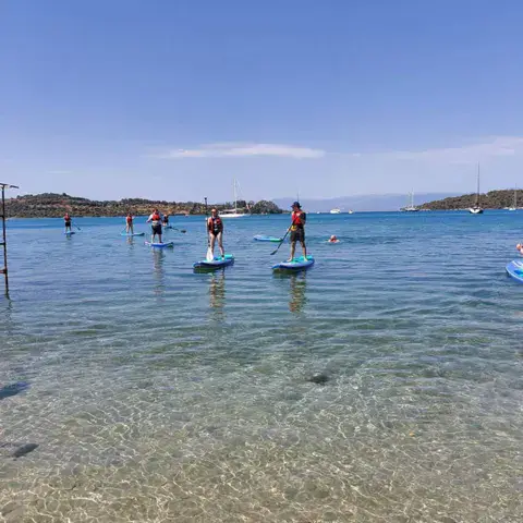 Pratiquants de SUP en eau peu profonde