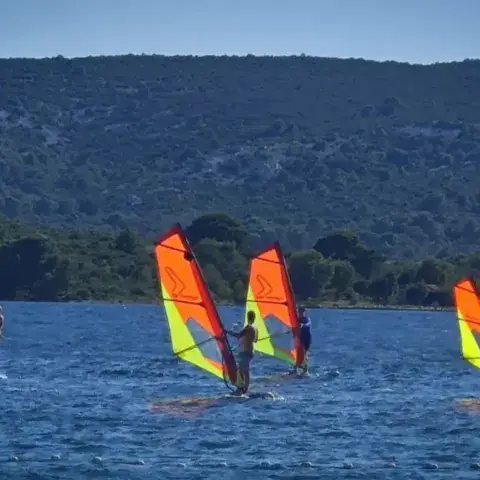 Groupe de windsurfeurs naviguant dans la baie