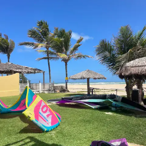 Kites posés sur la pelouse, plage et palmiers en fond
