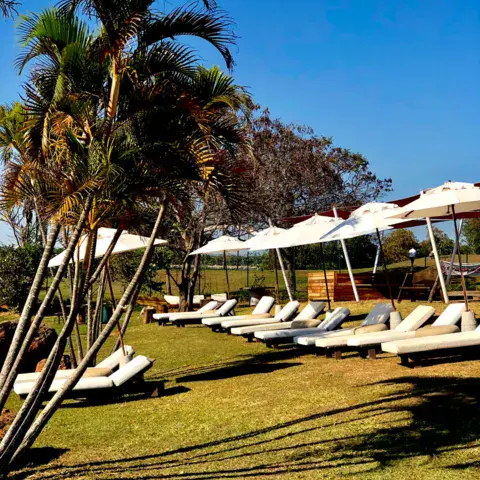 Transats et parasols sur la pelouse du club