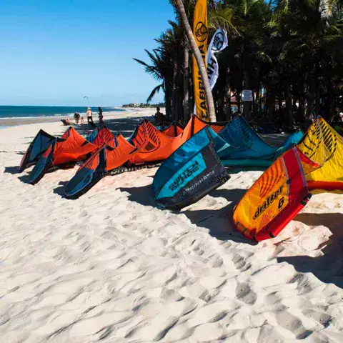 Kites posés sur le sable de la plage