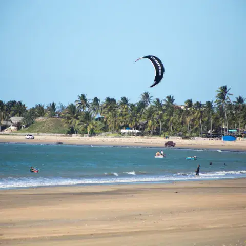 Kite dans le ciel au-dessus de la plage