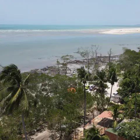 Vue en hauteur sur la côte et les cocotiers