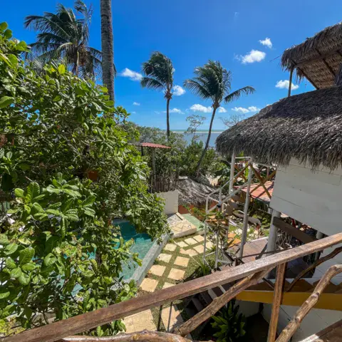 Bungalow à toit de paille dans la végétation