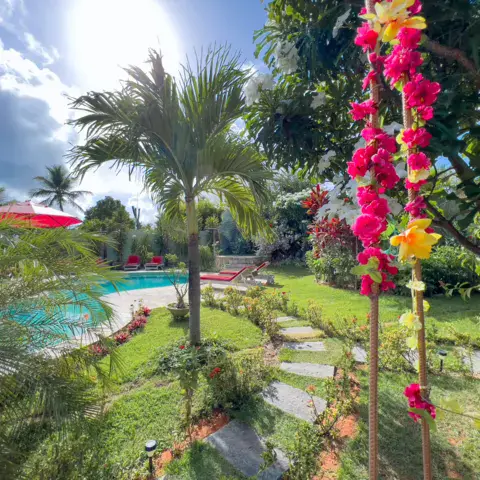 Jardin et piscine