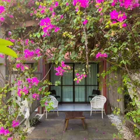 Terrasse d'une chambre sous les bougainvilliers