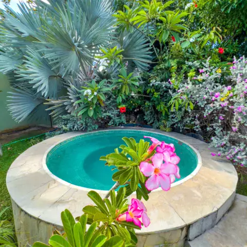 Bassin du jardin