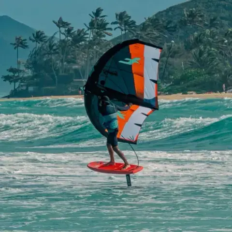Rider en wing foil devant une plage bordée de palmiers