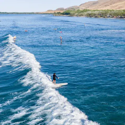 Surfeur sur une vague au large de la côte