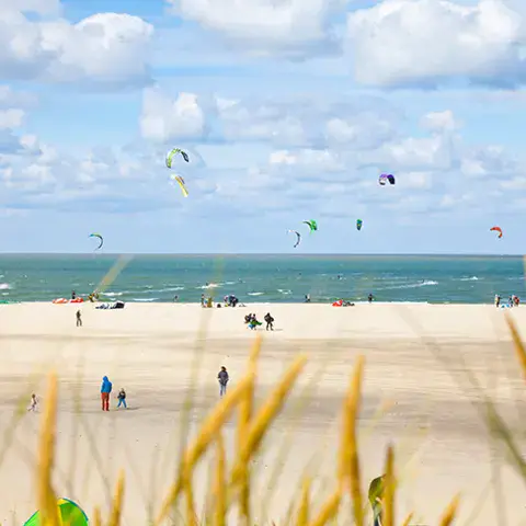 Kites dans le ciel au-dessus de la plage de Texel