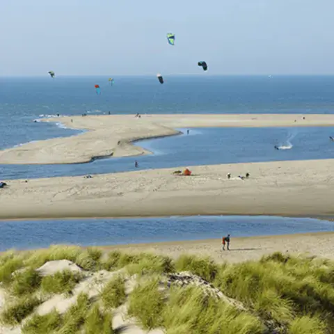 Kites en vol au-dessus d'un plan d'eau bordé de dunes