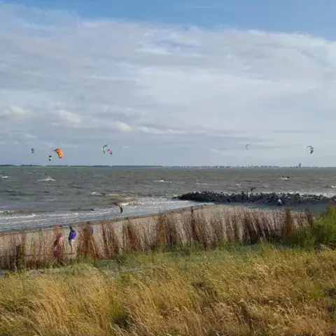 Plage et dunes avec de nombreux kites au loin