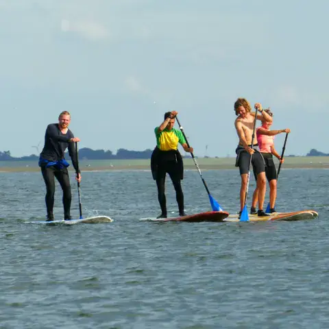 Cours de stand up paddle dans la baie
