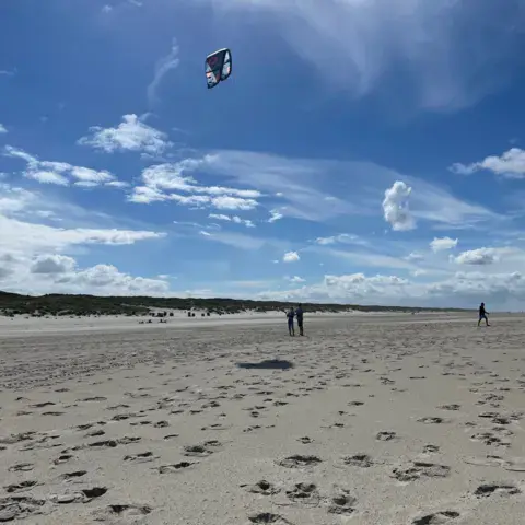 Kite au-dessus de la plage de sable