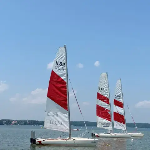 Catamarans à voile sur le lac