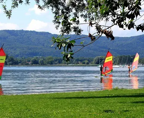 Windsurfeurs devant la rive du Zellersee