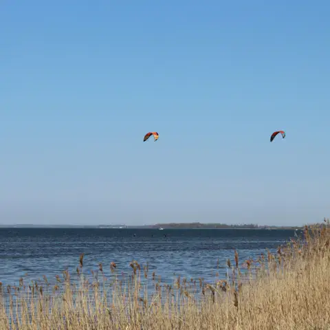 Deux kites au-dessus de l'eau, bord de roselière