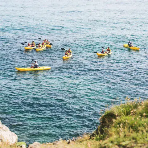Sortie de kayaks jaunes le long d'une côte rocheuse