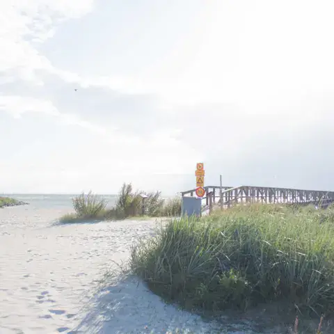 Plage de sable et dunes à Habo Ljung