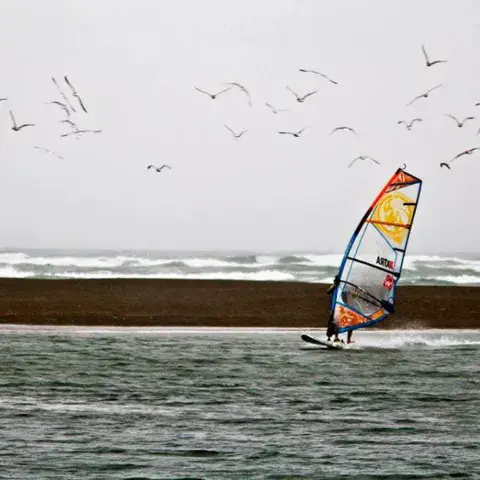 Véliplanchiste près d'une digue, avec des mouettes
