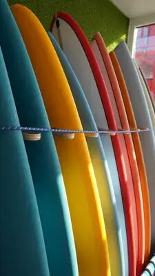 Planches de surf en rayon dans la boutique