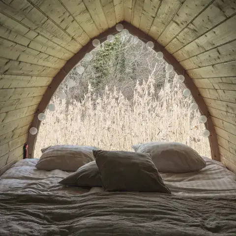 Intérieur d'une cabane d'hébergement avec vue sur les roseaux