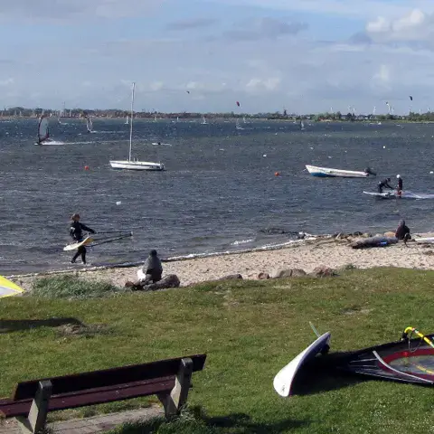 Plage avec planches de windsurf posées sur l'herbe