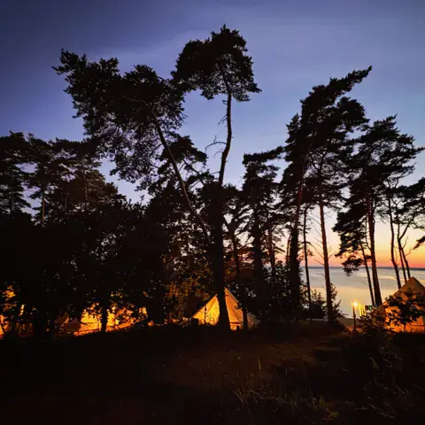 Pins et tentes au crépuscule