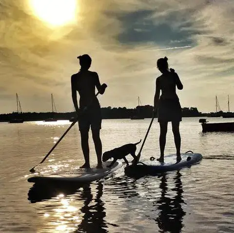 Deux personnes en stand up paddle au coucher du soleil