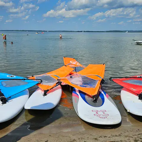Planches et voiles de l'école alignées au bord de l'eau
