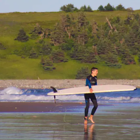 Un surfeur sort de l'eau avec sa planche, au bord de la plage