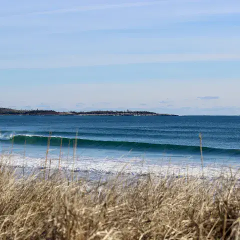 Une vague déroule au large de la plage, derrière les dunes