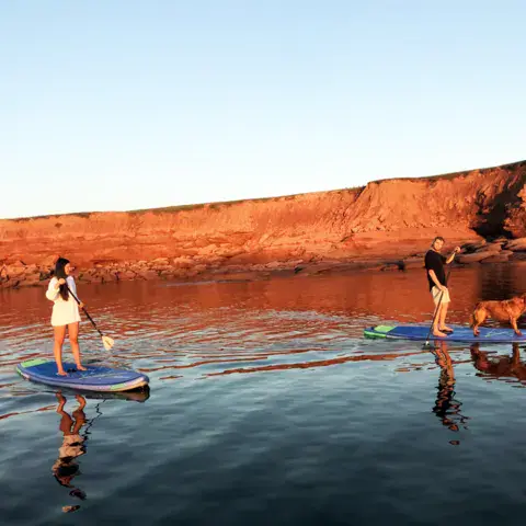 Sortie en paddle au pied des falaises rouges