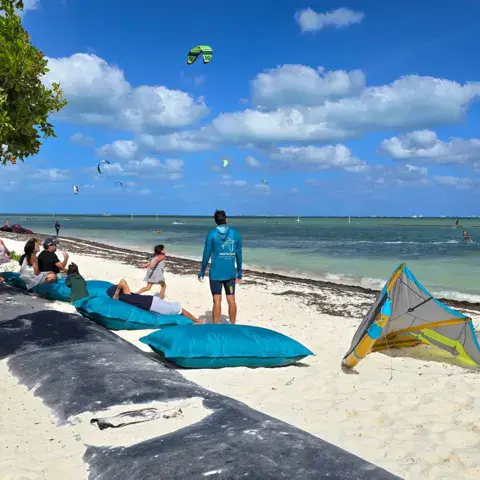 Ailes étalées sur la plage devant le plan d'eau