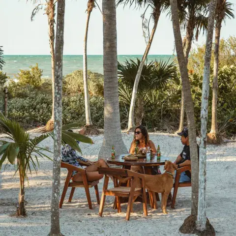 Tables du restaurant et beach club sous les palmiers