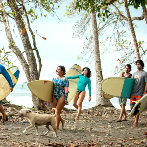 Groupe de surfeurs avec leurs planches en bordure de plage