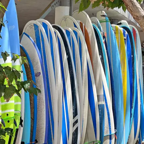 Rack de planches de surf à louer